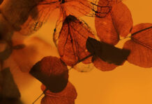 CÁI TÔI XUỐNG ĐỂ TRỞ NÊN VĨ ĐẠI HƠN