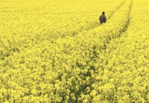 Just the way you are