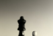 LEADERSHIP MINDSET IN A NEW ERA