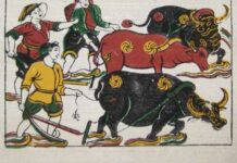 Ông Quan chăn trâu