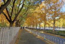 Bắc Kinh ngày trở lại