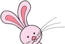 Thỏ và Nhền Nhện