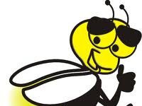 Đom đóm và giọt sương