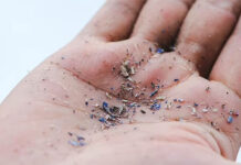 Các nhà khoa học phát hiện vi nhựa trong não người