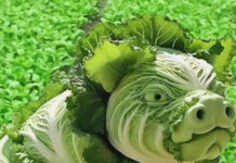 Đặc sản của em