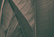 BẢN CHẤT & HIỆN TƯỢNG