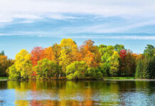 Làm sao để hết ế nhệ ế mốc ế meo