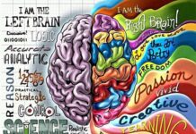 Hạc bài 1: Xử lý 2 bán cầu não