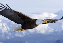 Hành trang tuổi 20