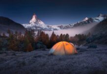 Tài của bằng hữu