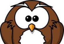 Diều hâu và cú mèo