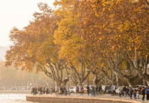 Ầm ầm tiếng sóng