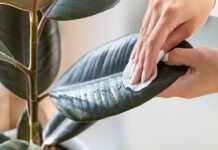 Bí mật chọn người – Phần 1