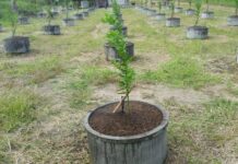 Khởi nghiệp thời bình