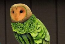 Cách kiếm hợp đồng bự chảng