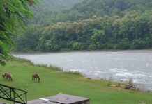 Có cái khôn thì ló ra đi