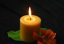 Cậu đừng lo, tôi chính là hi vọng