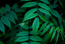 CON ĐƯỜNG SẮP TỚI