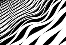 THE WINDMILLS OF YOUR MIND