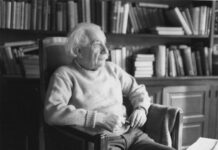 Các nhà khoa học đã làm gì với bộ não của Albert Einstein