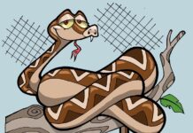 Sự tích con trăn nhả nọc