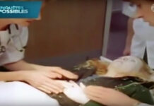 Cô gái hồi sinh sau một đêm bị đóng băng khiến y học không thể lý giải