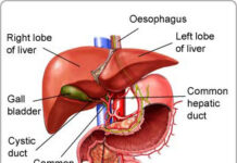 Trị ung thư gan bằng vắc xin ngừa bệnh đậu mùa