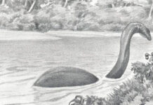 Huyền thoại về quái thú bí ẩn tại châu Phi