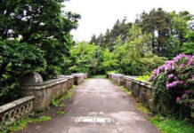 Cầu tự sát của chó ở Scotland