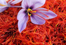 3 gia vị quý hiếm có khó tìm của thế giới: Một loại ở Việt Nam mọc khắp nơi!