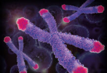 Những cách để con người trở nên bất tử