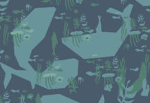 Bài học đầu đời