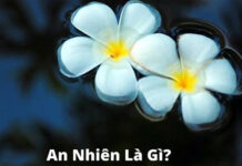 An nhiên là gì? Làm sao có được cuộc sống an nhiên?