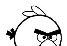 Con chim bị mù hay ta không hiểu?