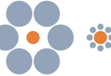 Điểm danh các loại ảo ảnh thị giác lừa đảo bộ não