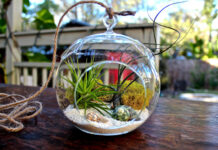 Cuộc sống hoàn hảo