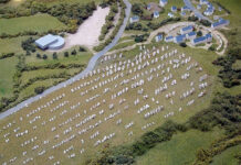 Rừng tượng đá bí ẩn thời tiền sử ở nước Pháp