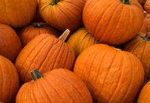 Loại bỏ bệnh trầm cảm, sỏi thận bằng nước ép bí ngô