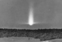 Bí ẩn khu rừng “Tam giác quỷ Bermuda” trên mặt đất