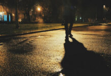 Dây thần kinh dài nhất trong cơ thể người