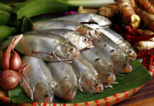 Việt Nam có 4 loại cá giàu omega 3 bậc nhất, giúp kiểm soát đường huyết, bổ tim chắc xương