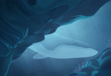 “Tiếng vọng” từ đại dương: Bí ẩn khiến giới khoa học không thể giải mã suốt gần 3 thập kỷ