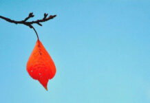 13 câu chuyện ý nghĩa về cuộc sống bạn nên đọc một lần trong đời