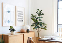 Cây giả có làm chúng ta thấy thoải mái tâm trạng không?