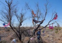 Cây treo đầy áo ngực, xe đạp giữa đường đầy kỳ quặc ở Australia