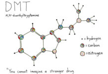 Chất thức thần DMT là gì? Nó có thực sự đem lại các lợi ích về tâm linh như nhiều người nghĩ?