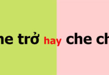 Che trở hay che chở đúng chính tả?