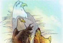 Con Gà Đại Bàng – Web Giải Bài Tập