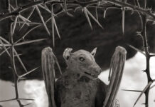 Bí ẩn hồ tử thần Natron làm sinh vật biến thành “tượng sống”