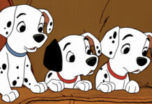 Chó và người đầu bếp